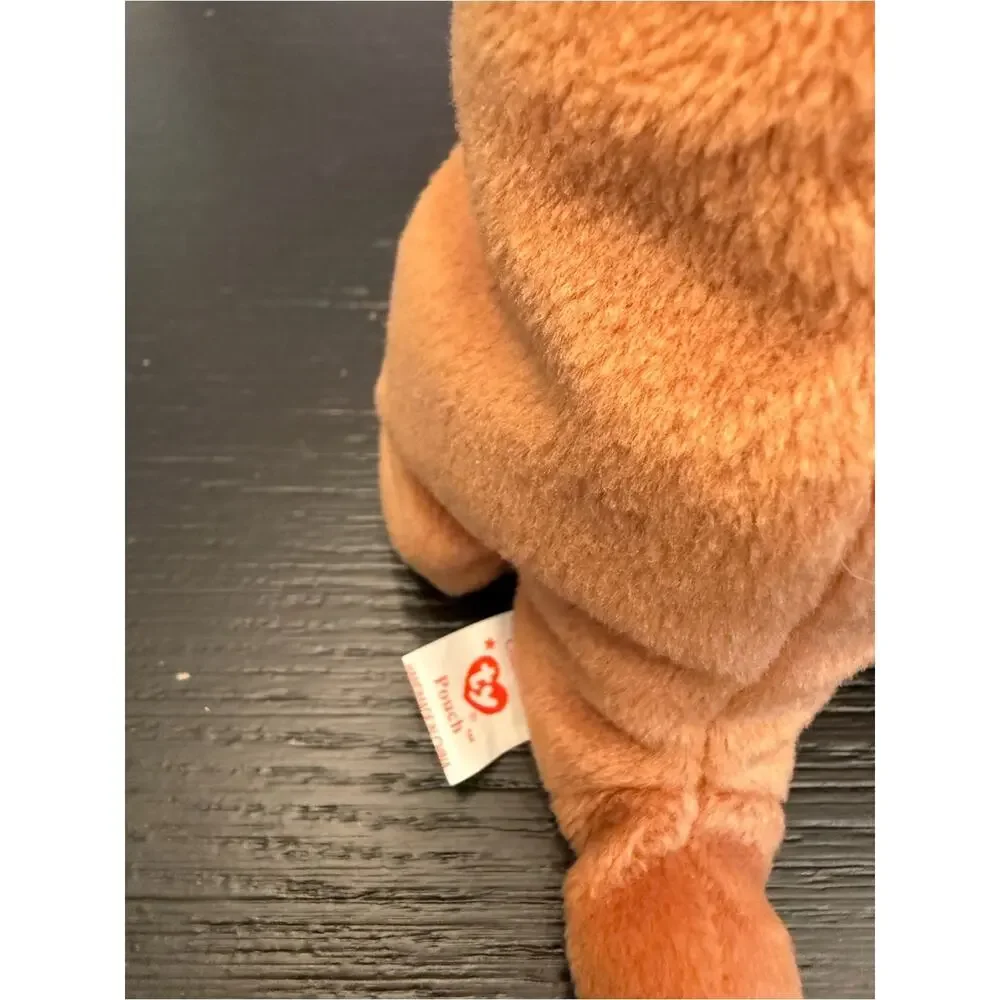 Ty nwt never